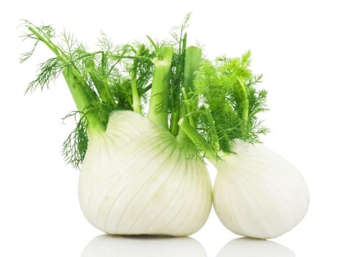 10 Amazing Herbs That Strengthen Your Digestion; Fennel