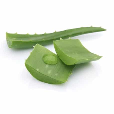 0 Amazing Herbs That Strengthen Your Digestion; Aloe