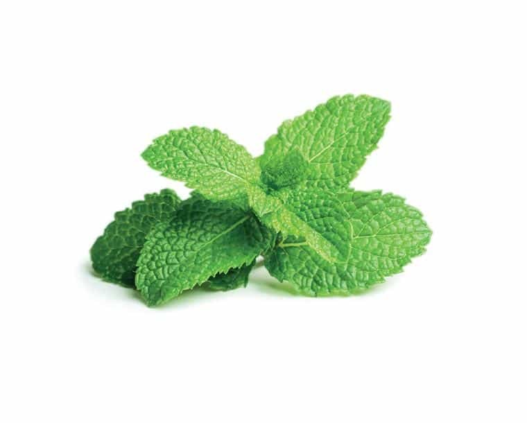 0 Amazing Herbs That Strengthen Your Digestion; Peppermint