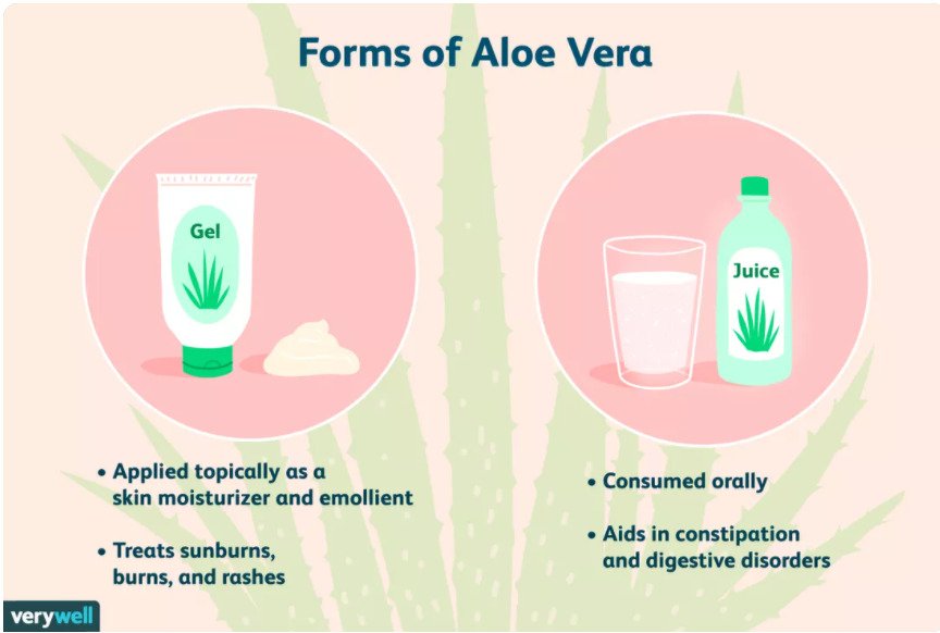 Aloe Vera Benefits You Have Least Likely Heard Of